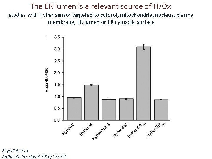 The ER lumen is a relevant source of H 2 O 2: studies with