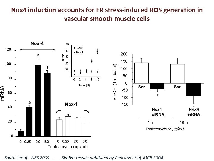 Nox 4 induction accounts for ER stress-induced ROS generation in vascular smooth muscle cells