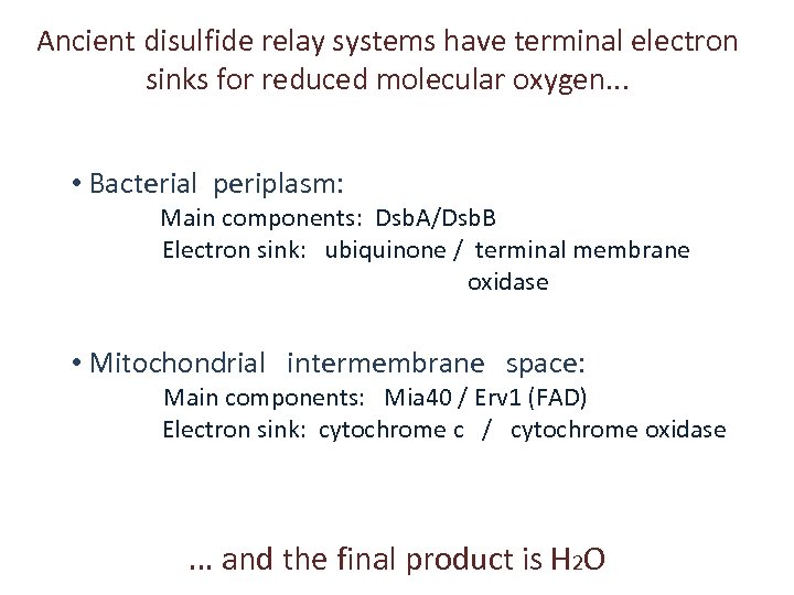 Ancient disulfide relay systems have terminal electron sinks for reduced molecular oxygen. . .