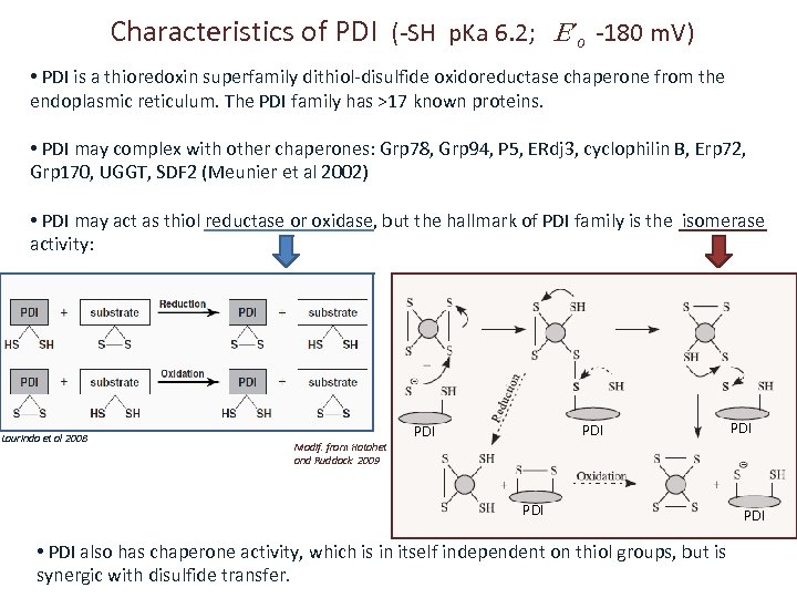 Characteristics of PDI (-SH p. Ka 6. 2; ’o -180 m. V) • PDI