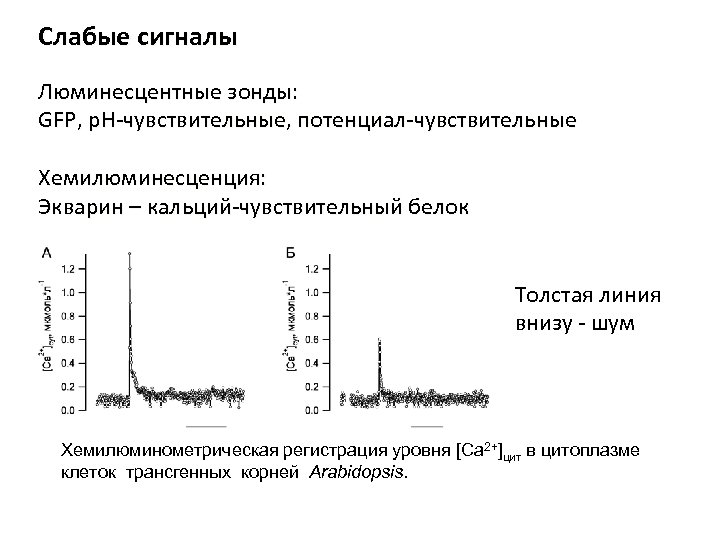 Слабые сигналы Люминесцентные зонды: GFP, р. Н-чувствительные, потенциал-чувствительные Хемилюминесценция: Экварин – кальций-чувствительный белок Толстая