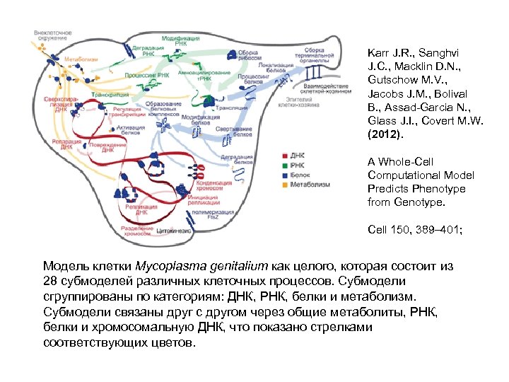 Karr J. R. , Sanghvi J. C. , Macklin D. N. , Gutschow M.
