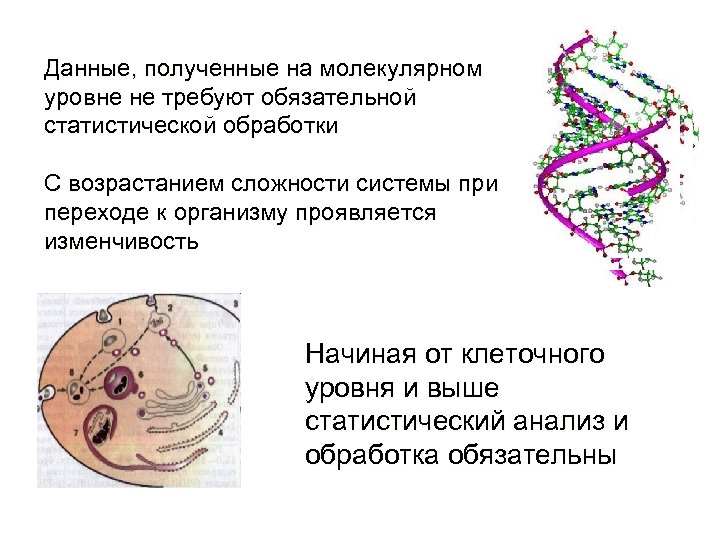 Данные, полученные на молекулярном уровне не требуют обязательной статистической обработки С возрастанием сложности системы