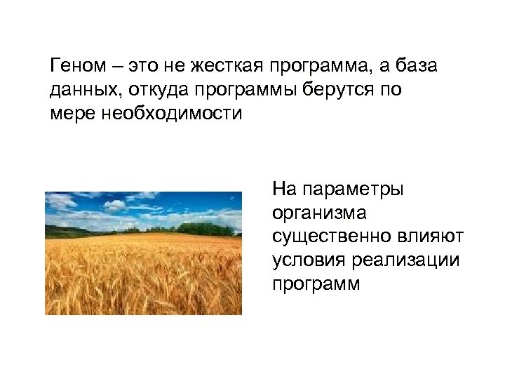 Геном – это не жесткая программа, а база данных, откуда программы берутся по мере