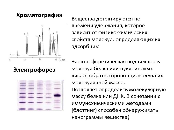 Хроматография Электрофорез Вещества детектируются по времени удержания, которое зависит от физико-химических свойств молекул, определяющих