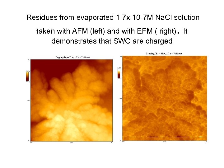 Residues from evaporated 1. 7 x 10 -7 M Na. Cl solution . taken