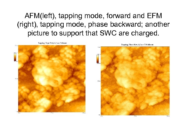 AFM(left), tapping mode, forward and EFM (right), tapping mode, phase backward; another picture to