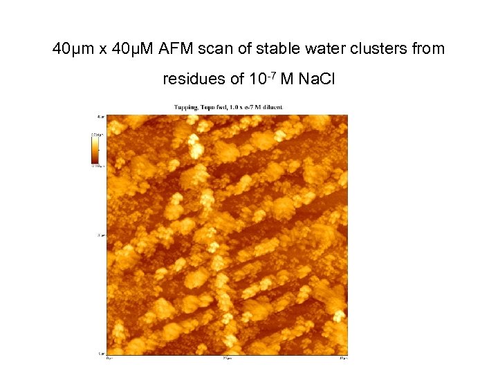 40μm x 40μM AFM scan of stable water clusters from residues of 10 -7