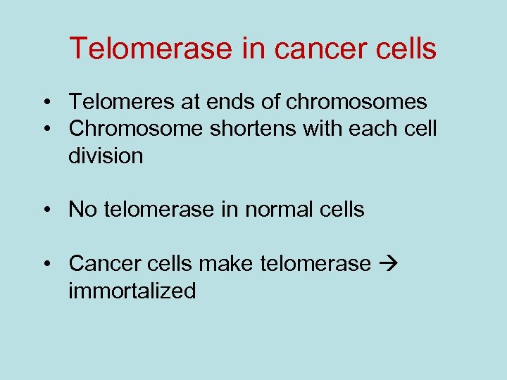 Telomerase in cancer cells • Telomeres at ends of chromosomes • Chromosome shortens with