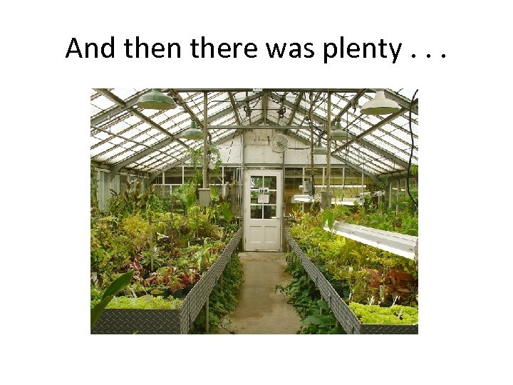 And then there was plenty. . . 