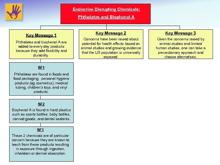 Endocrine Disrupting Chemicals: Phthalates and Bisphenol A Key Message 1 Phthalates and bisphenol A