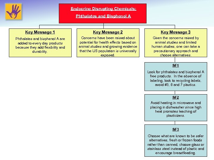Endocrine Disrupting Chemicals: Phthalates and Bisphenol A Key Message 1 Key Message 2 Key
