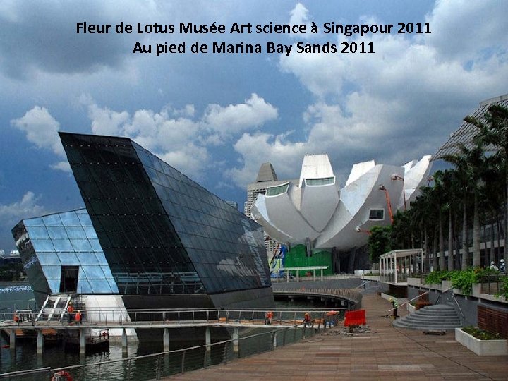 Fleur de Lotus Musée Art science à Singapour 2011 Au pied de Marina Bay