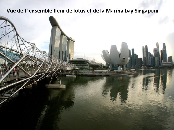 Vue de l ‘ensemble fleur de lotus et de la Marina bay Singapour 
