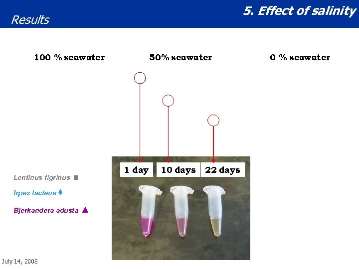 5. Effect of salinity Results 100 % seawater Lentinus tigrinus 1 day ■ Irpex