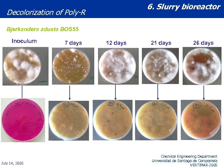 6. Slurry bioreactor Decolorization of Poly-R Bjerkandera adusta BOS 55 Inoculum July 14, 2005