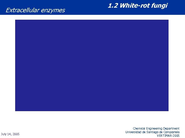 Extracellular enzymes July 14, 2005 1. 2 White-rot fungi Chemical Engineering Department Universidad de