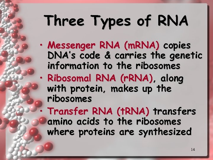 . Three Types of RNA • Messenger RNA (m. RNA) copies DNA’s code &