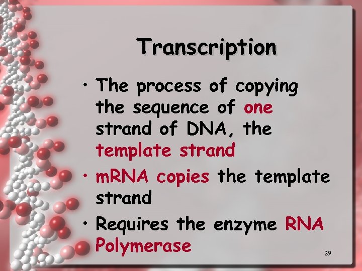 Transcription • The process of copying the sequence of one strand of DNA, the