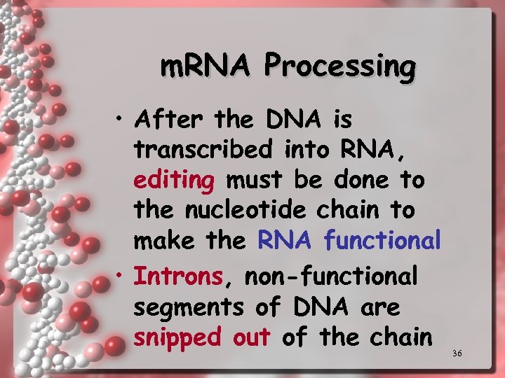 m. RNA Processing • After the DNA is transcribed into RNA, editing must be