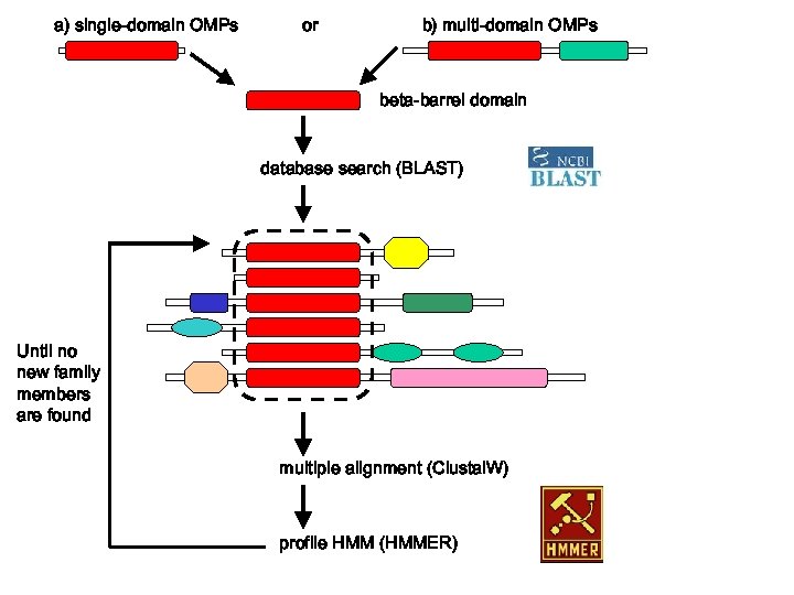 a) single-domain OMPs or b) multi-domain OMPs beta-barrel domain database search (BLAST) Until no