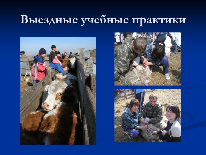 Выездные учебные практики 