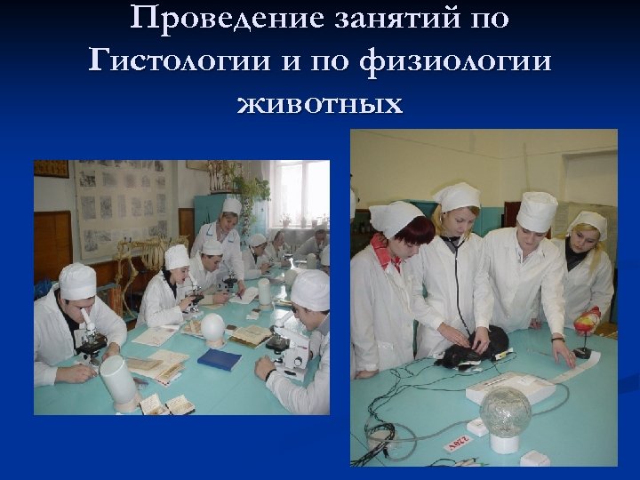 Проведение занятий по Гистологии и по физиологии животных 
