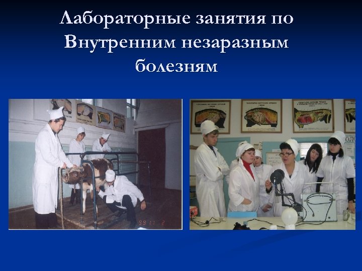 Лабораторные занятия по Внутренним незаразным болезням 