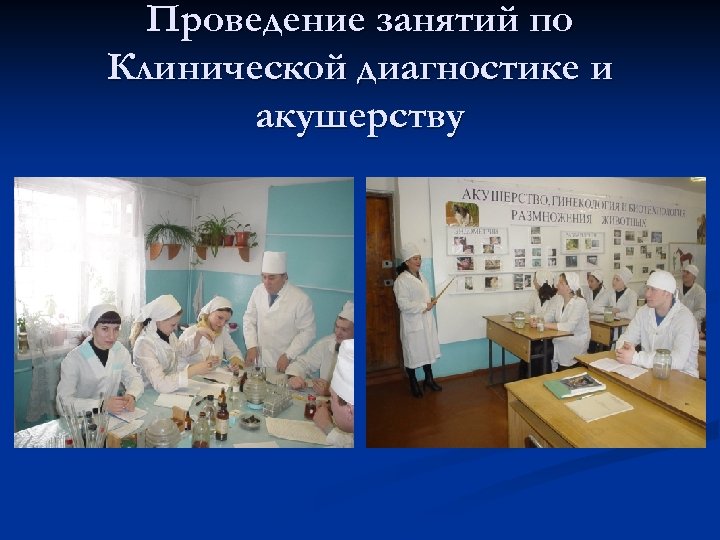 Проведение занятий по Клинической диагностике и акушерству 