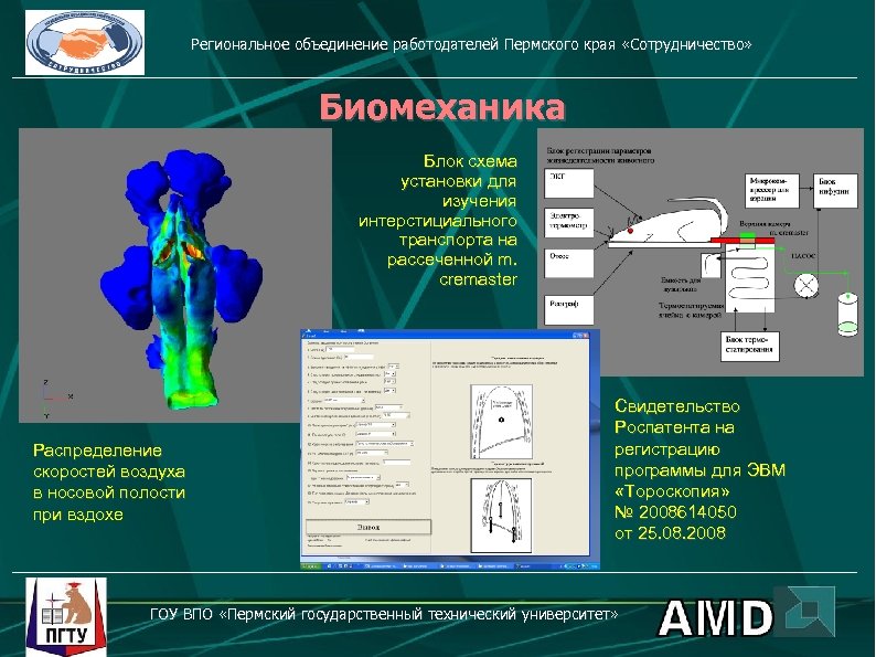 Региональное объединение работодателей Пермского края «Сотрудничество» Биомеханика Блок схема установки для изучения интерстициального транспорта