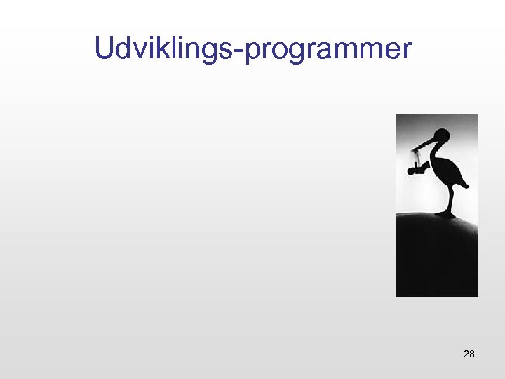 Udviklings-programmer 28 