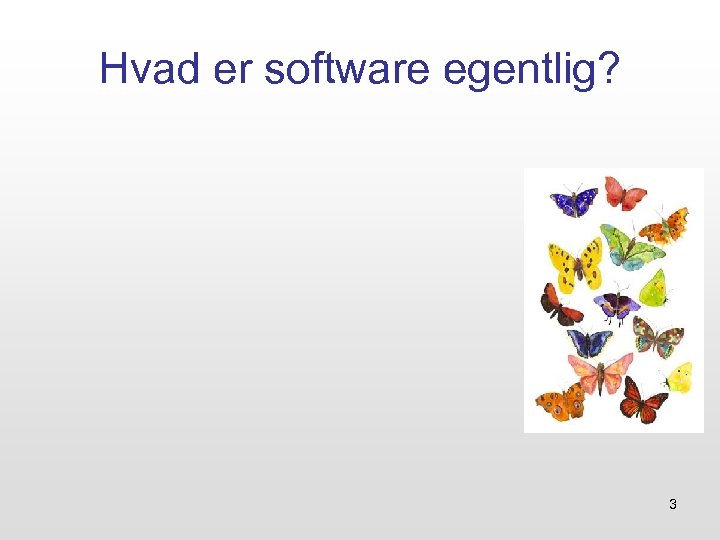 Hvad er software egentlig? 3 
