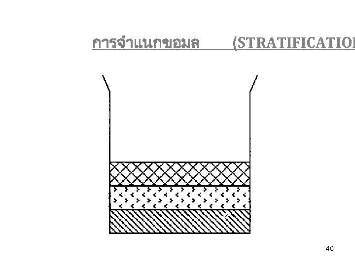 การจำแนกขอมล (STRATIFICATION 40 