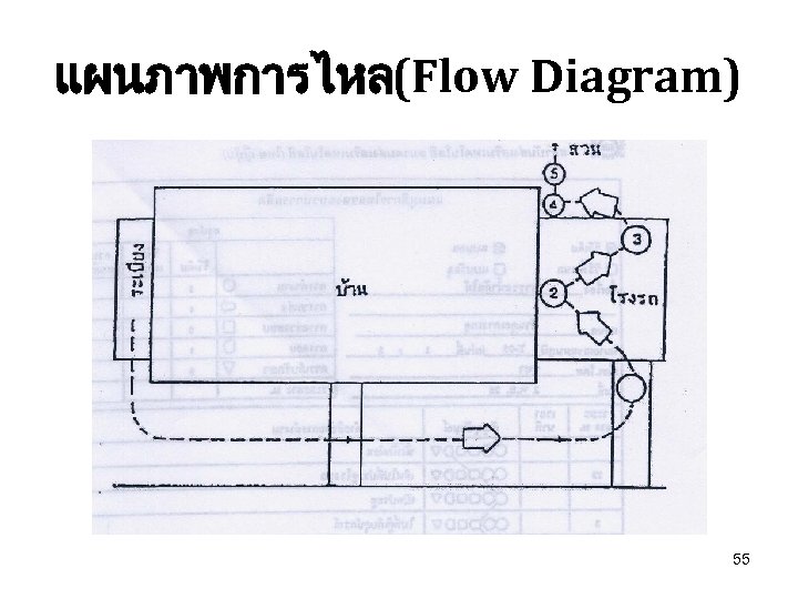 แผนภาพการไหล(Flow Diagram) 55 