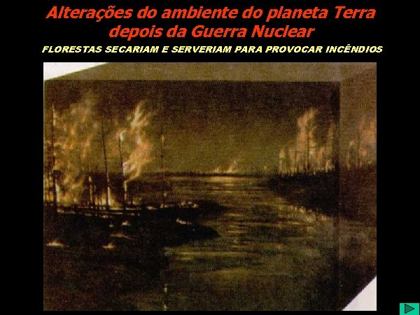 Alterações do ambiente do planeta Terra depois da Guerra Nuclear FLORESTAS SECARIAM E SERVERIAM