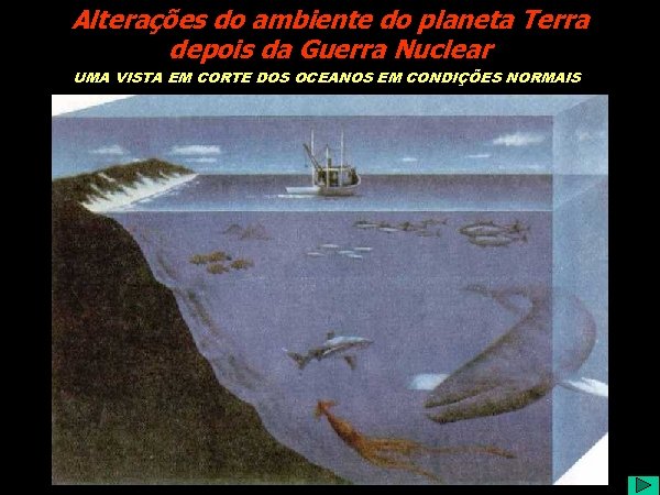 Alterações do ambiente do planeta Terra depois da Guerra Nuclear UMA VISTA EM CORTE