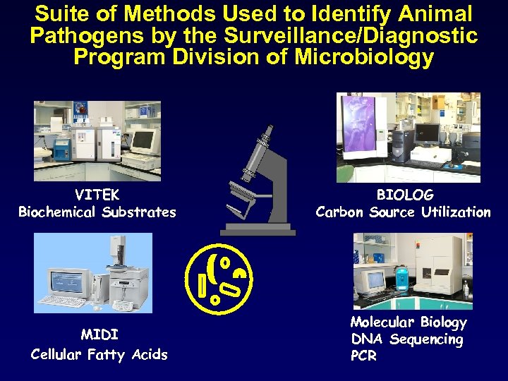 Suite of Methods Used to Identify Animal Pathogens by the Surveillance/Diagnostic Program Division of