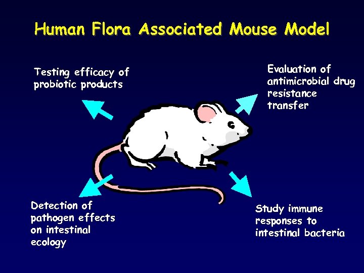 Human Flora Associated Mouse Model Testing efficacy of probiotic products Detection of pathogen effects