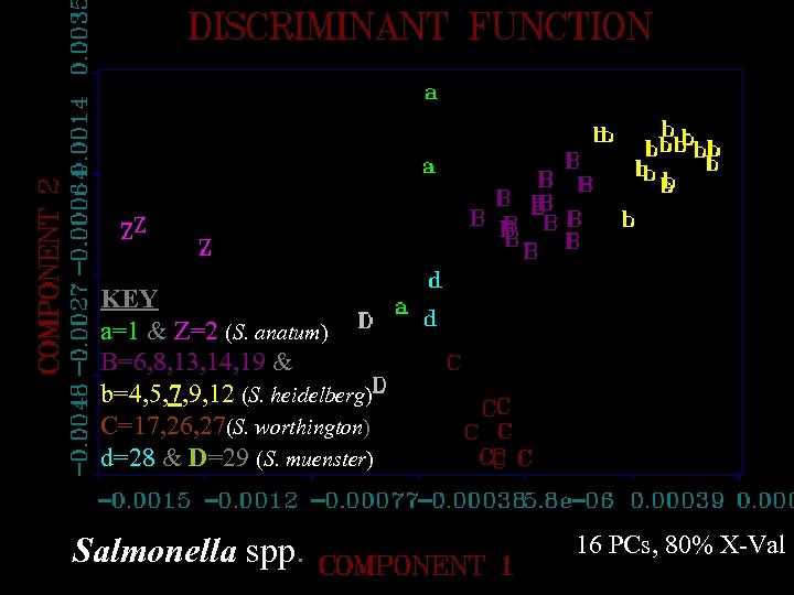 KEY a=1 & Z=2 (S. anatum) B=6, 8, 13, 14, 19 & b=4, 5,