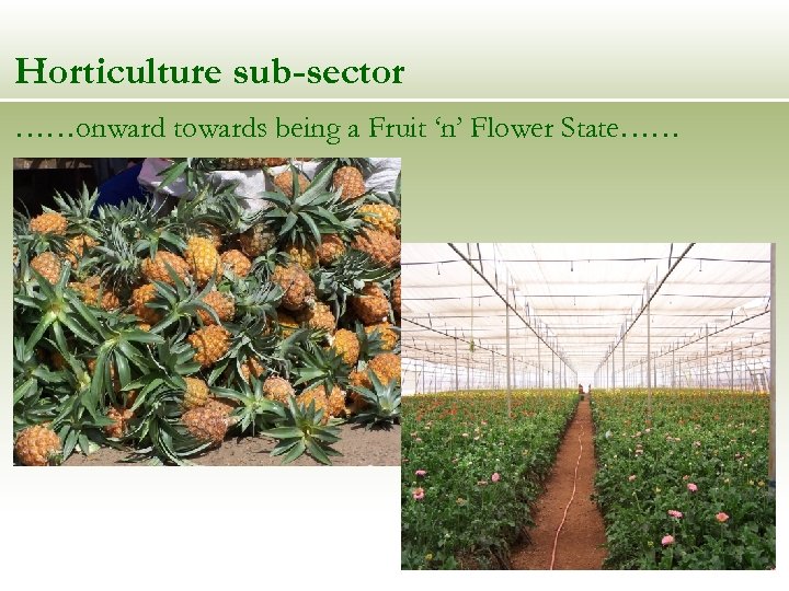Horticulture sub-sector ……onward towards being a Fruit ‘n’ Flower State…… 
