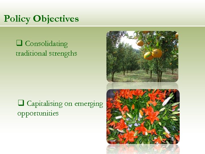 Policy Objectives q Consolidating traditional strengths q Capitalising on emerging opportunities 