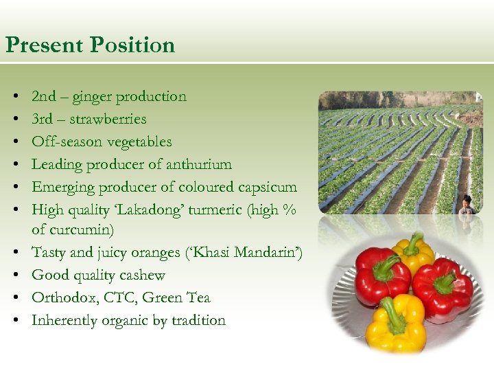 Present Position • • • 2 nd – ginger production 3 rd – strawberries