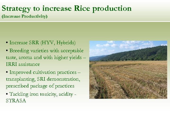 Strategy to increase Rice production (Increase Productivity) • Increase SRR (HYV, Hybrids) • Breeding