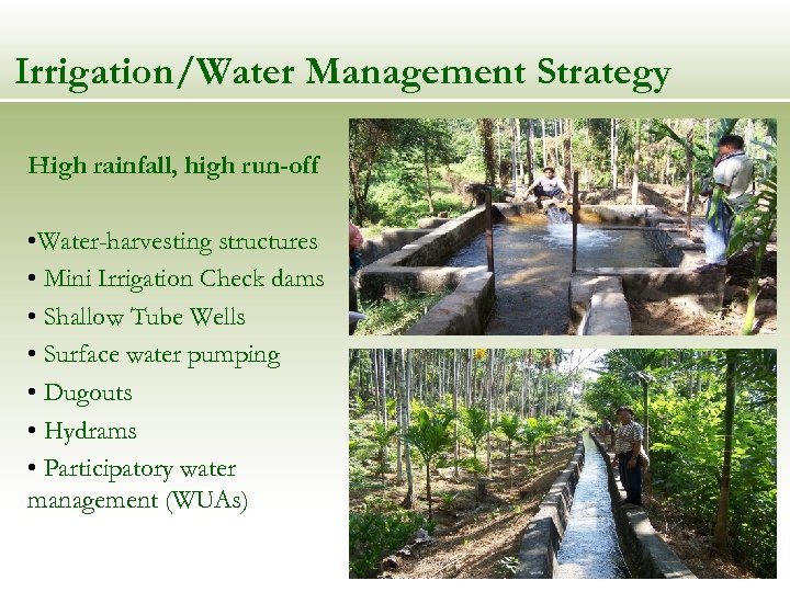 Irrigation/Water Management Strategy High rainfall, high run-off • Water-harvesting structures • Mini Irrigation Check