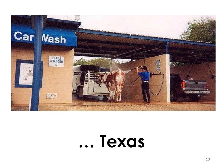 … Texas 10 