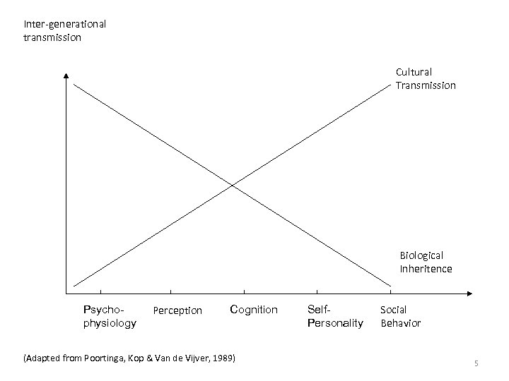 Inter-generational transmission Cultural Transmission Biological Inheritence Psychophysiology Perception Cognition (Adapted from Poortinga, Kop &