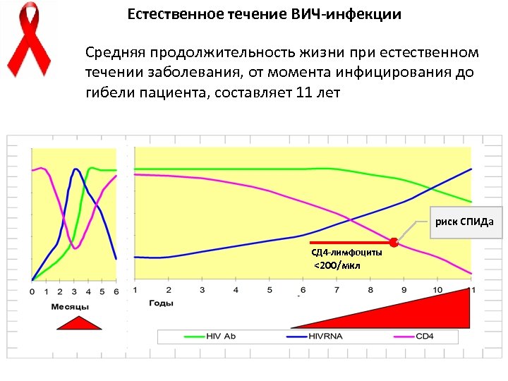 Естественное течение ВИЧ-инфекции Средняя продолжительность жизни при естественном течении заболевания, от момента инфицирования до