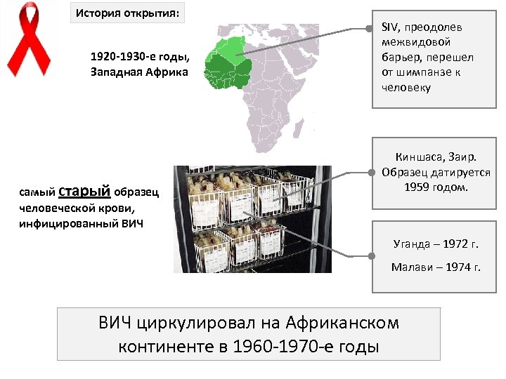 История открытия: 1920 -1930 -е годы, Западная Африка самый старый образец человеческой крови, инфицированный