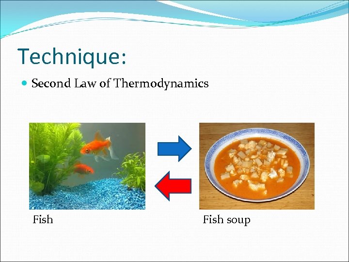 Technique: Second Law of Thermodynamics Fish soup 