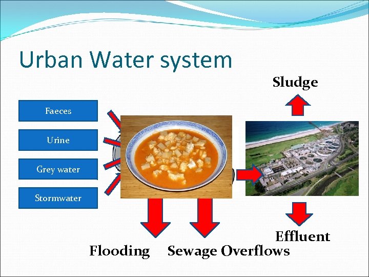 Urban Water system Sludge Faeces Urine Sewer pipe Grey water Stormwater Flooding Effluent Sewage